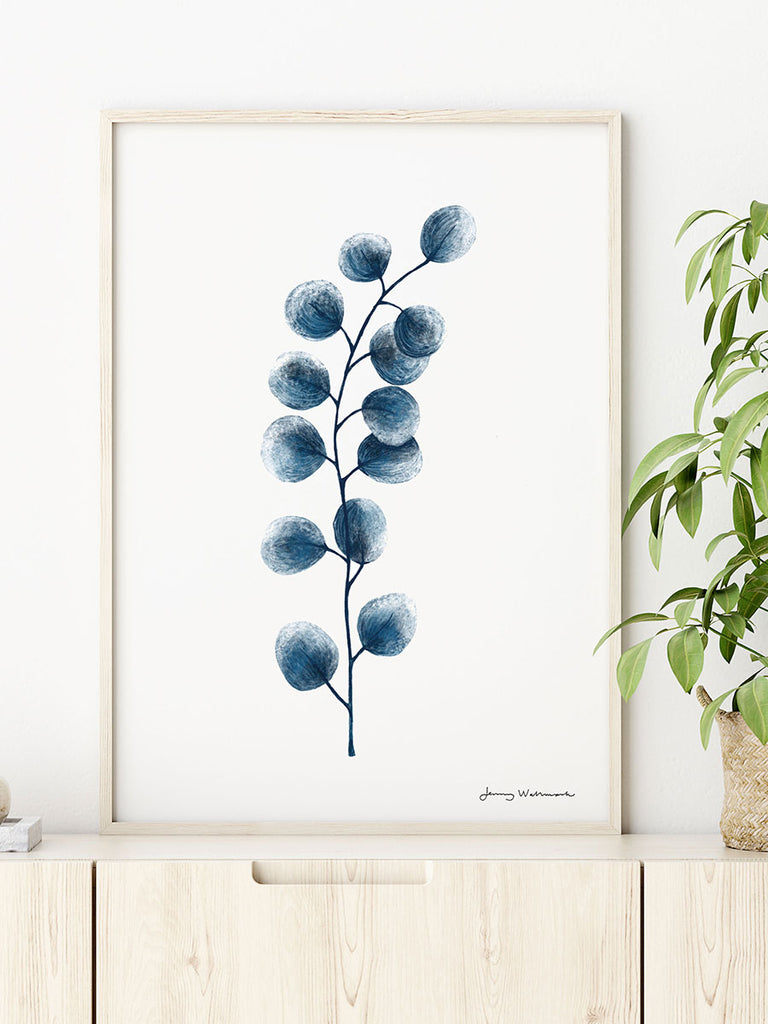 Postern Eukalyptus föreställer växten Eukalyptus i blå eller grå på vit bakgrund.