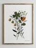 En poster som föreställer en bukett med blommor i gröna toner av Jenny Wallmark